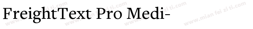 FreightText Pro Medi字体转换